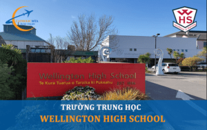 Lối ào trường trung học Wellington High School New Zealand