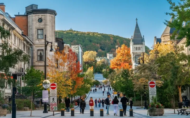 Du học THPT Canada năm 2026 có cần PAL/TAL không?